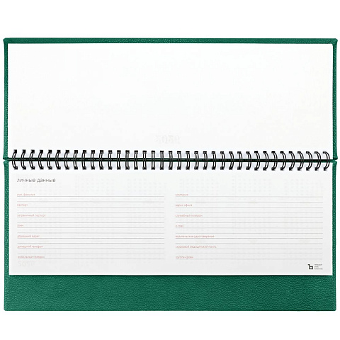 Планинг Sagrin, датированный, зеленый - рис 5.