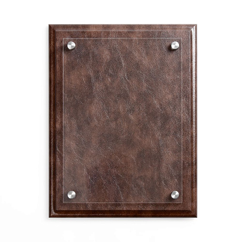 Плакетка Sleatherin Аcrylic - рис 2.