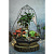 Сад в стекле Дерево жизни - миниатюра - рис 3.