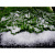Искусственный снег Ледяная крошка (50гр) - миниатюра - рис 2.