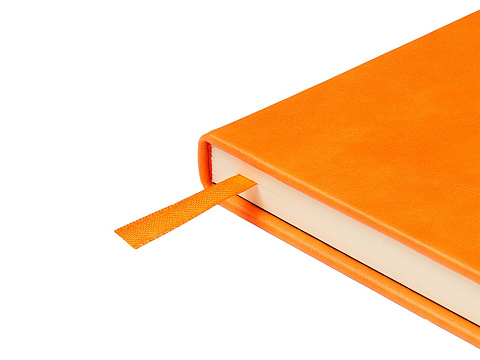 Ежедневник недатированный А5 Premier, оранжевый - рис 6.