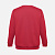 Свитшот унисекс Delta, красный - миниатюра - рис 3.
