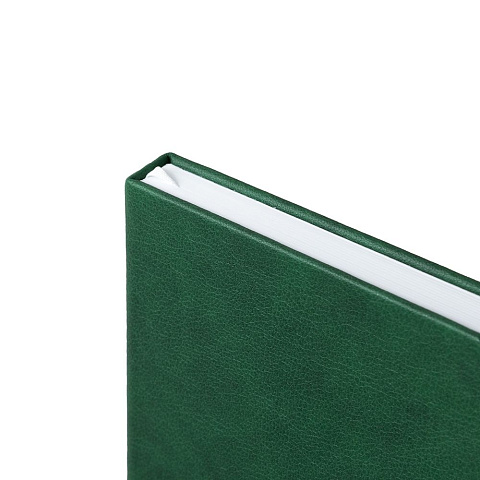 Ежедневник Daily Mini, недатированный, зеленый - рис 6.