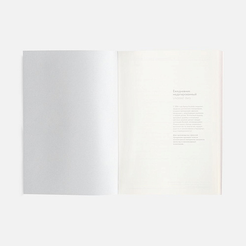 Ежедневник Repute, недатированный, синий - рис 10.