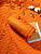 Плед для пикника Comfy, оранжевый - миниатюра - рис 6.