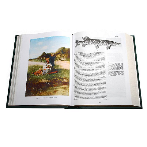 Подарочная книга "Жизнь и ловля пресноводных рыб" Сабанеева Л.П. - рис 6.
