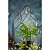 Флорариум Вяз в стеклянном саду - миниатюра - рис 5.