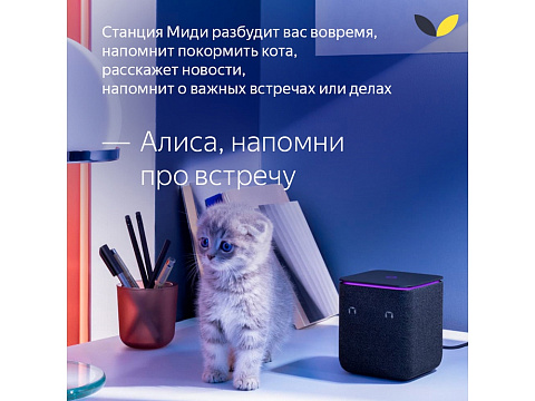 Умная колонка ЯНДЕКС Станция Миди с Алисой, с Zigbee, 24 Вт, цвет: черный (YNDX-00054BLK) - рис 18.