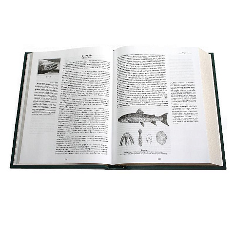 Подарочная книга "Жизнь и ловля пресноводных рыб" Сабанеева Л.П. - рис 7.