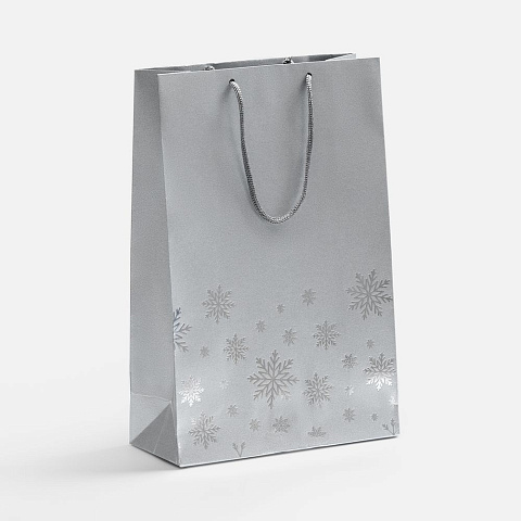 Пакет Wintry, серебристый - рис 2.