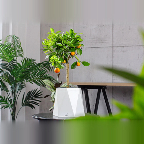 Умное кашпо myPot - рис 4.