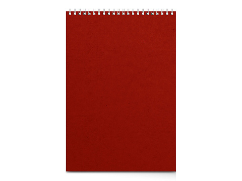 Бизнес - блокнот А4 (198 х 285 мм) Office 60 л., красный