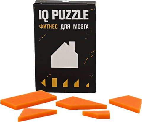 Головоломка IQ Puzzle, домик - рис 2.