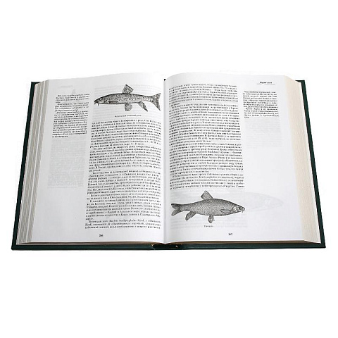 Подарочная книга "Жизнь и ловля пресноводных рыб" Сабанеева Л.П. - рис 10.