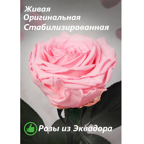 Розовая роза в колбе (средняя) - рис 3.