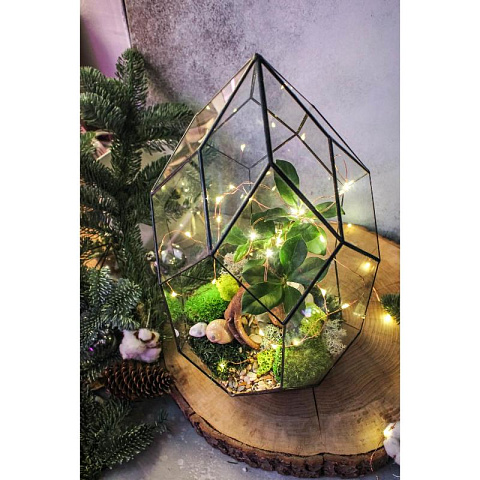 Сад в стекле Бонсай в кристалле - рис 3.