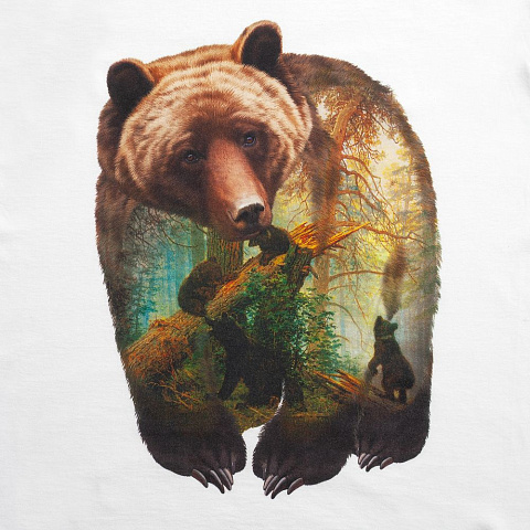 Футболка Bruin, белая - рис 4.