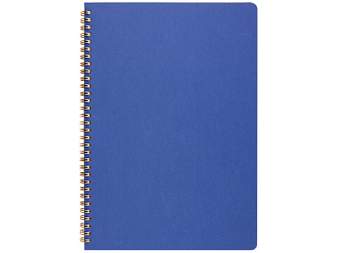 Бизнес тетрадь на гребне А4 Pragmatic, 100 листов в клетку, синий - рис 2.