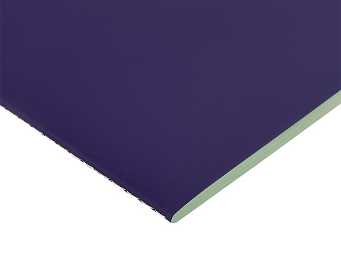 Бизнес-тетрадь А5 Pragmatic Contrast, 40 листов в клетку, фиолетовый с салатовым срезом - рис 2.