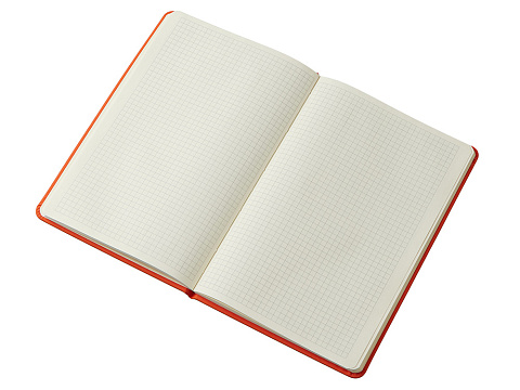 Блокнот в твердой обложке A5 Виспи 2.0 в клетку, оранжевый - рис 4.