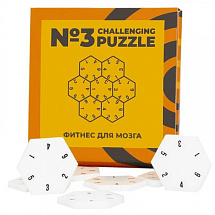 Головоломка Challenging Puzzle Acrylic N3