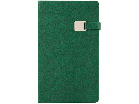 Ежедневник недатированный А5 Premier, зеленый - рис 4.