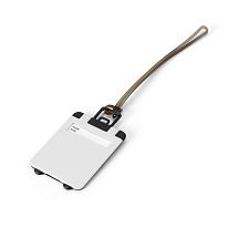 FANNY. Идентификатор, Белый