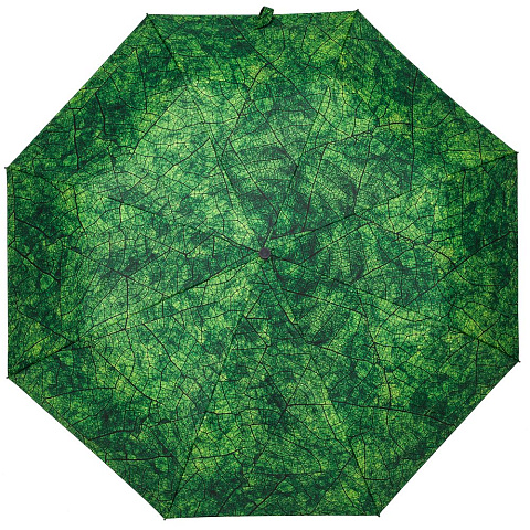 Зонт складной Evergreen - рис 2.