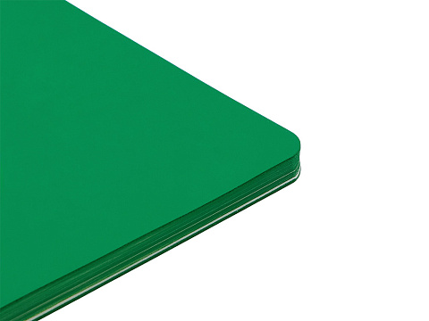 Блокнот Audrey А5 на сшивке в гибкой обложке софт-тач, зеленый - рис 2.