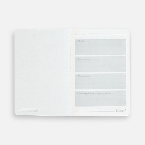 Ежедневник Extra, недатированный, красный - рис 11.