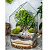 Сад в стекле Хозяин леса - миниатюра - рис 2.