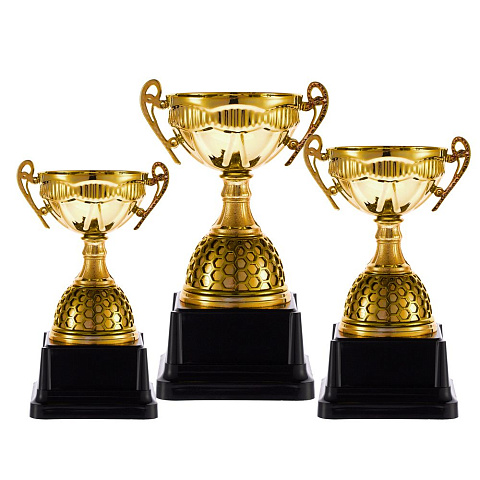 Кубок Meritus, большой, золотистый - рис 5.