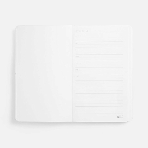 Ежедневник Waltz, недатированный, серебристый - рис 11.