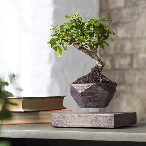 Левитационный горшок LePlant Wood венге (бонсай) - рис 3.