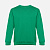 Свитшот унисекс Delta, зеленый - миниатюра